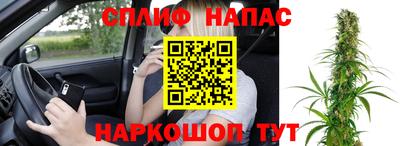 скорость Кингисепп