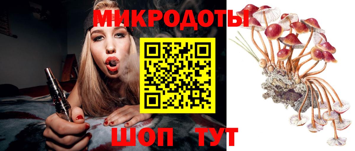 Псилоцибиновые грибы Psilocybe  Псилоцибиновые грибы Psilocybine cubensis  Кунгур  Вход с VPN 